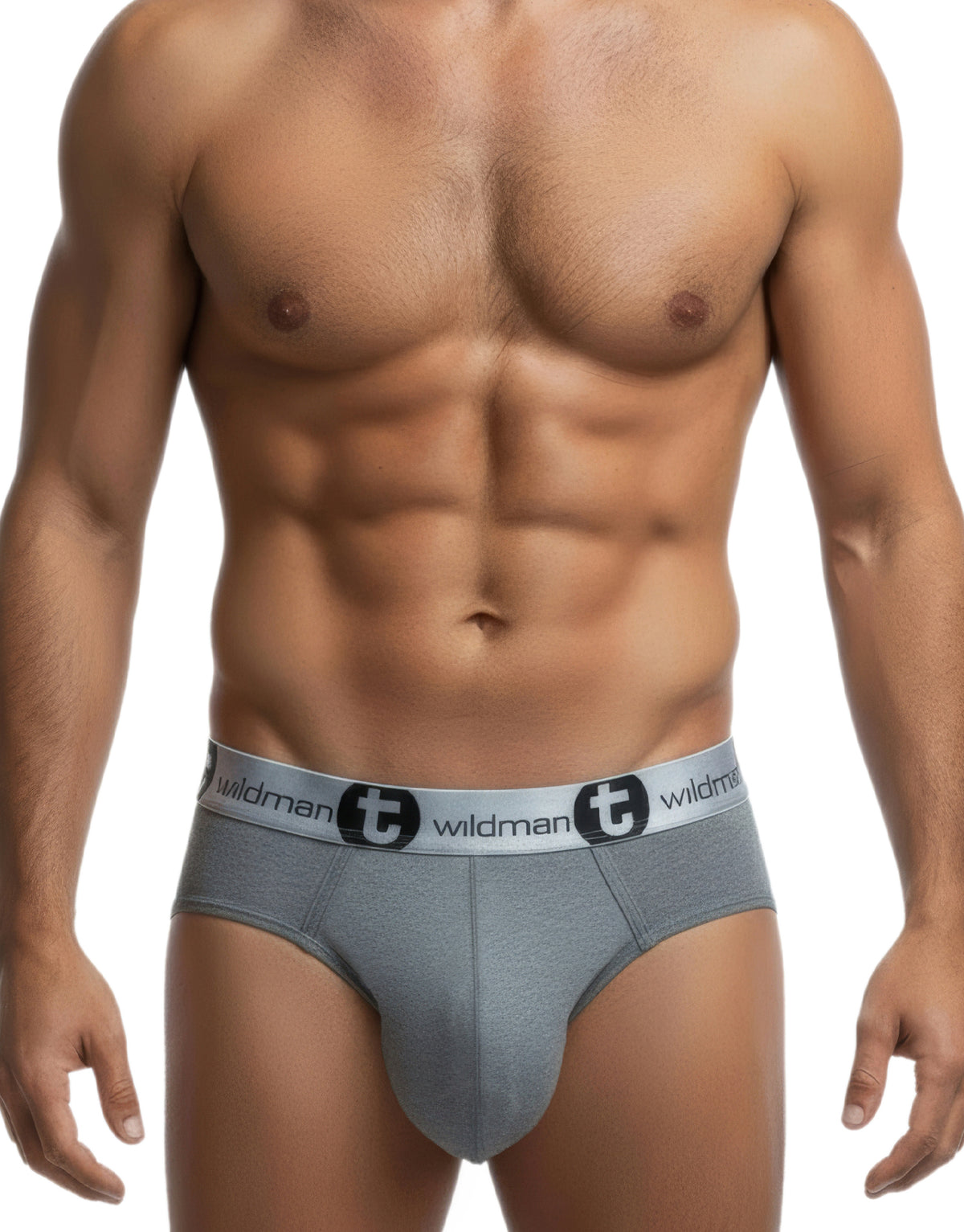 WildmanT Modal Big Boy Pouch Brief Silver Gray